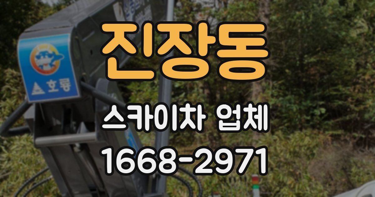 진장동 스카이차 업체