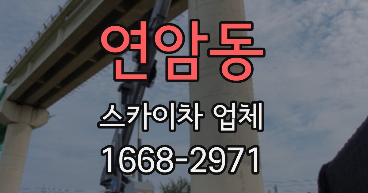 연암동 스카이차 업체