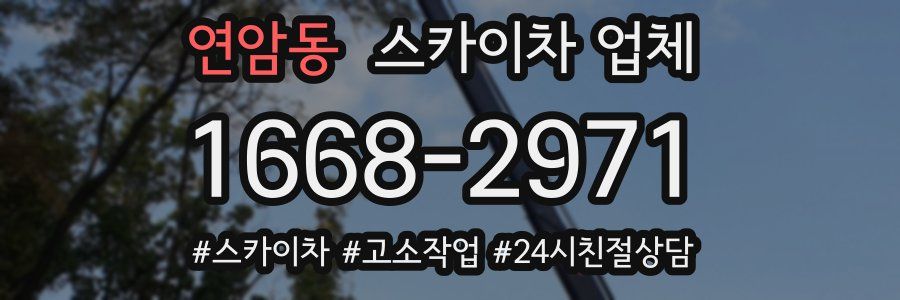 연암동 스카이차 업체