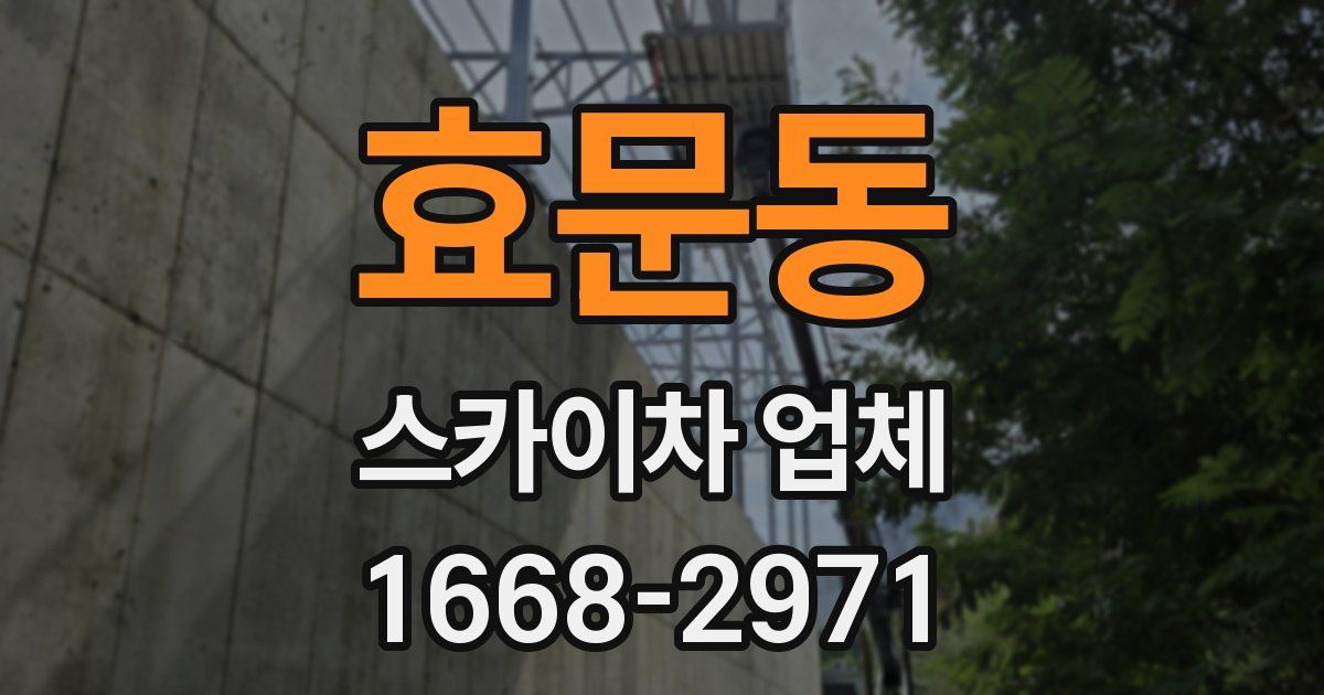 효문동 스카이차 업체