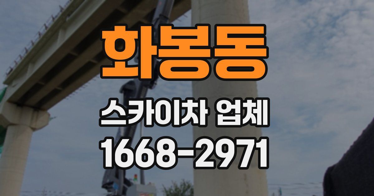 화봉동 스카이차 업체