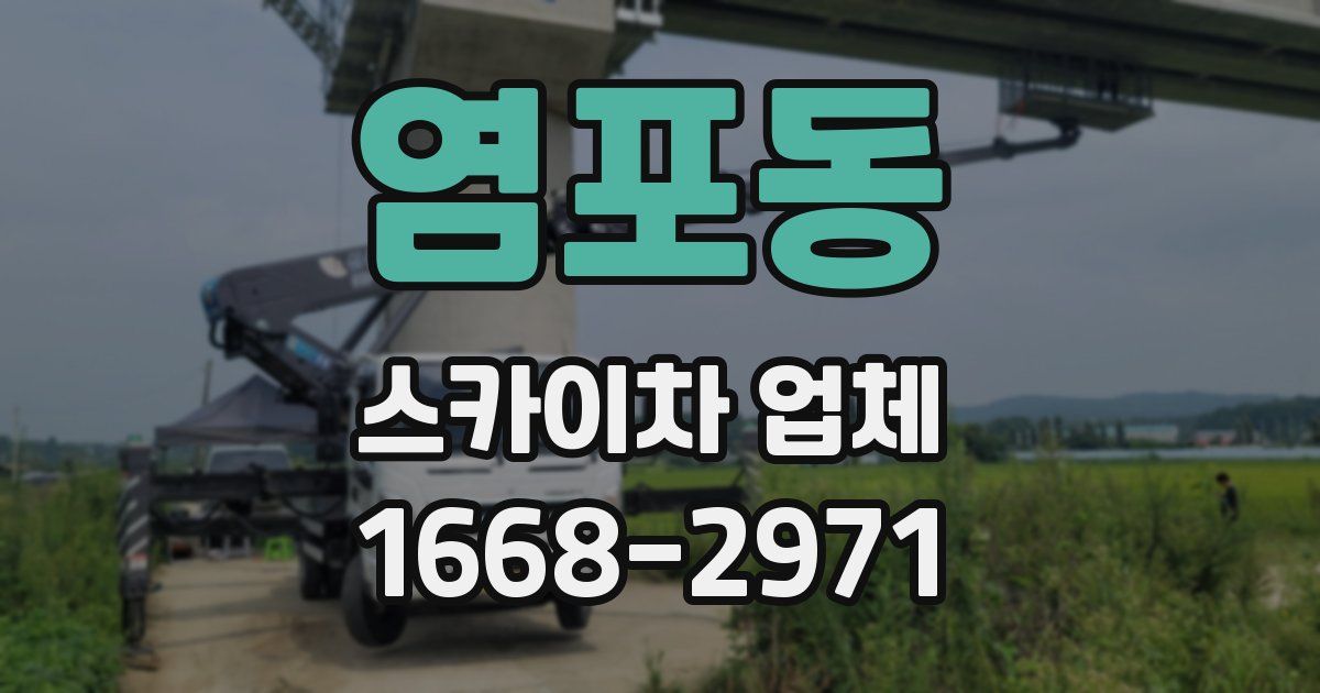 염포동 스카이차 업체
