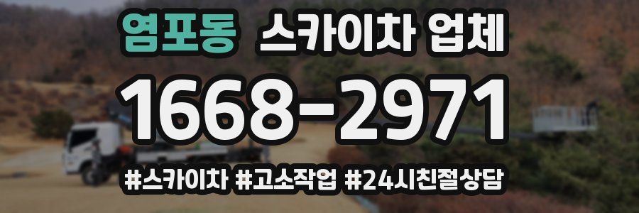 염포동 스카이차 업체