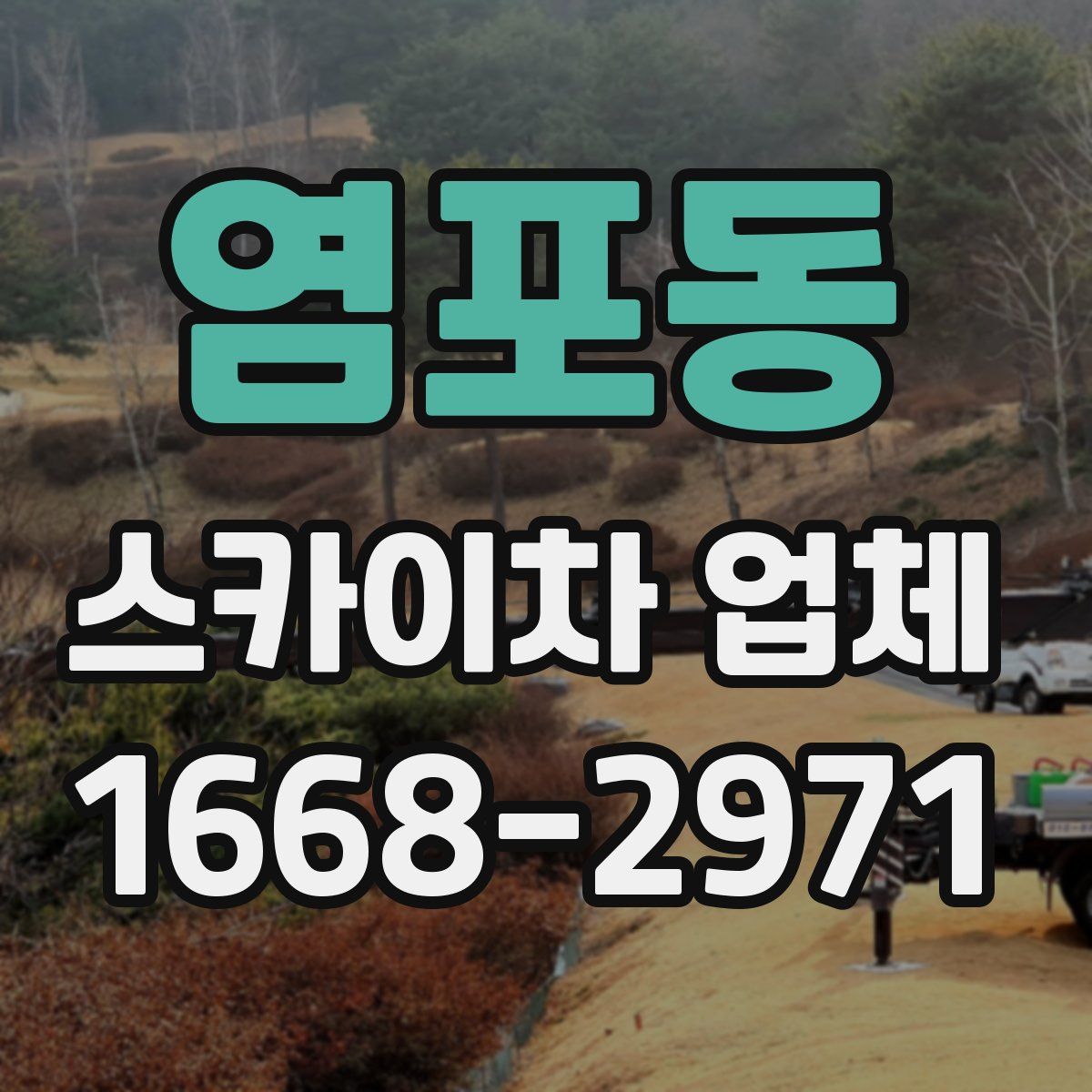 염포동 스카이차 업체