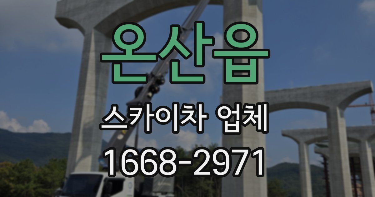 온산읍 스카이차 업체