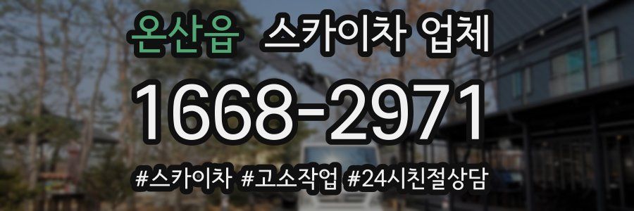 온산읍 스카이차 업체