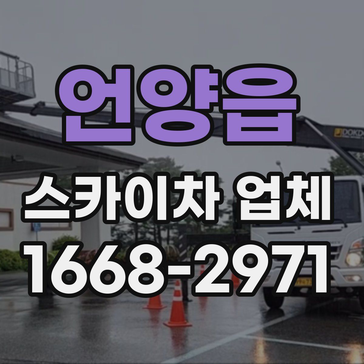 언양읍 스카이차 업체