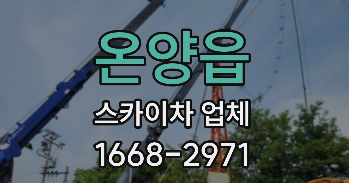 온양읍 스카이차 업체
