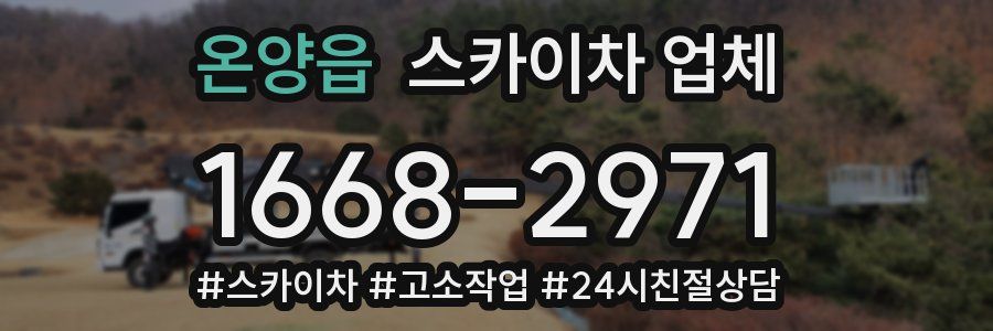 온양읍 스카이차 업체