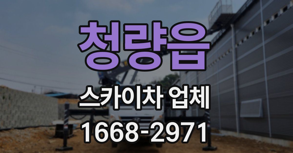 청량읍 스카이차 업체