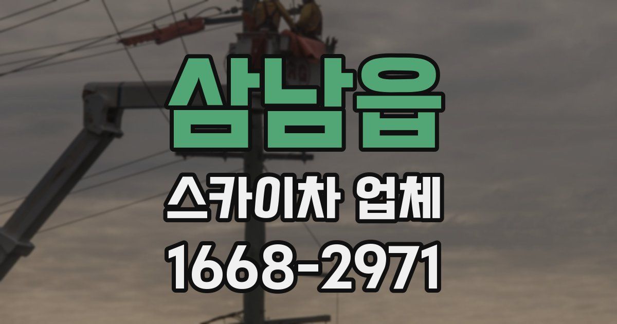 삼남읍 스카이차 업체