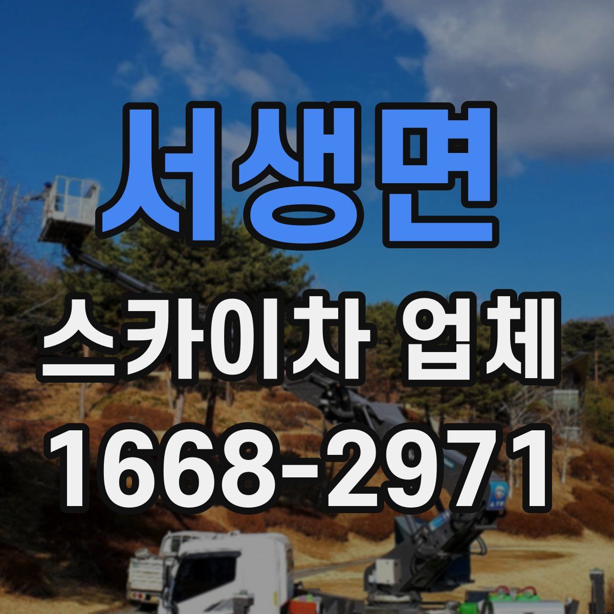 서생면 스카이차 업체