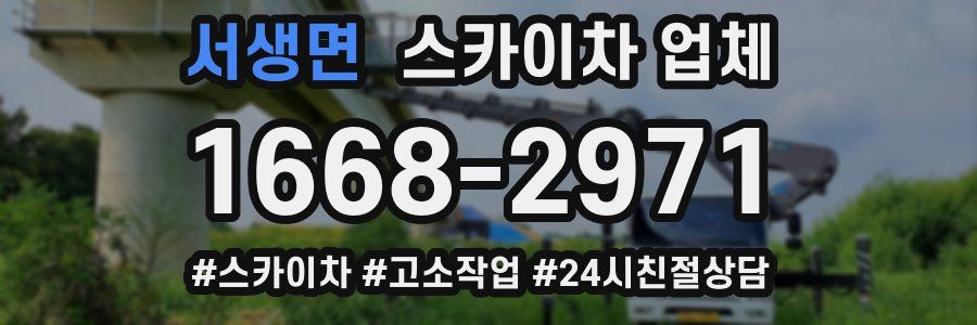 서생면 스카이차 업체
