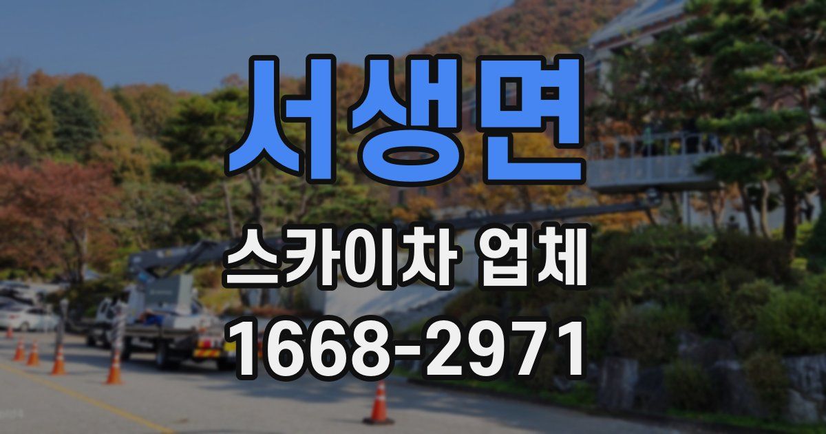 서생면 스카이차 업체