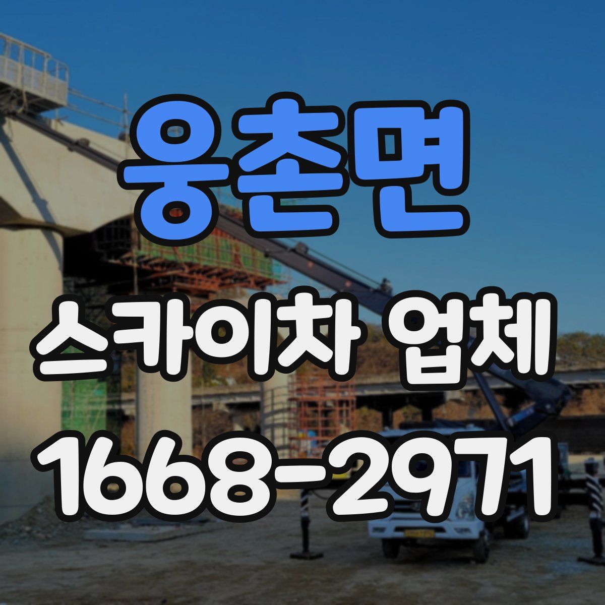 웅촌면 스카이차 업체