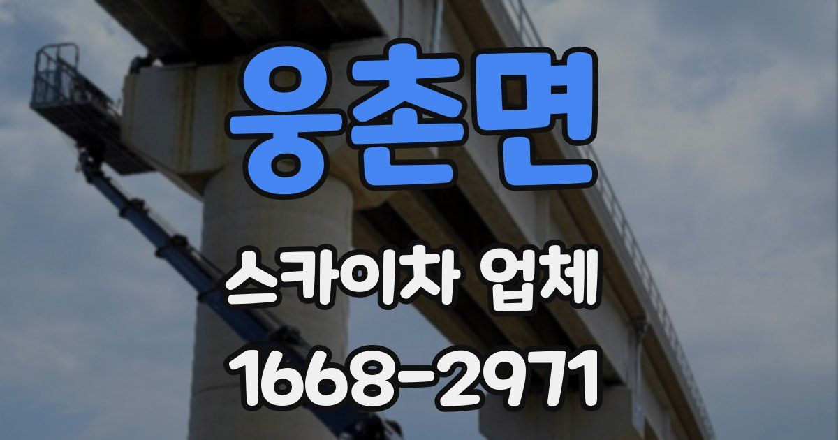 웅촌면 스카이차 업체