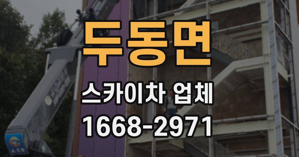 두동면 스카이차 업체