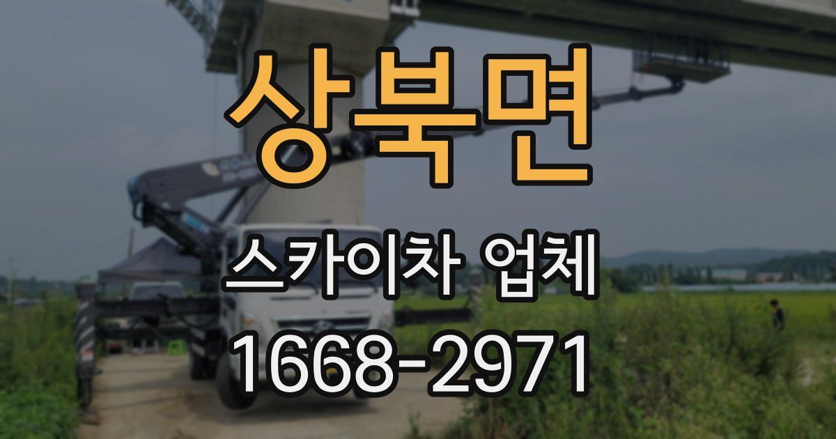 상북면 스카이차 업체