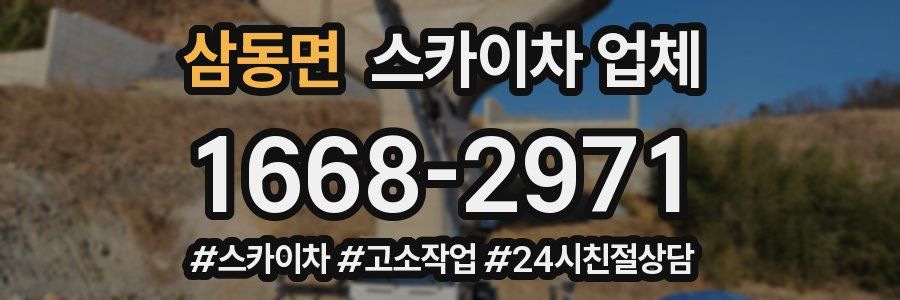 삼동면 스카이차 업체