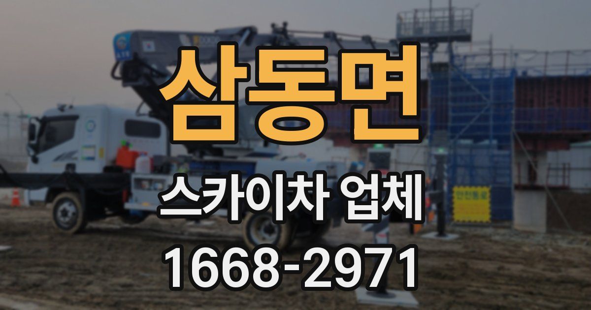삼동면 스카이차 업체