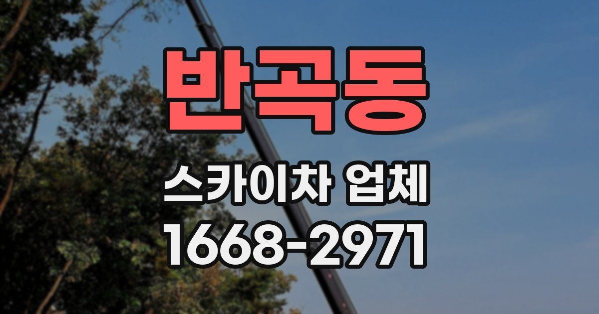 반곡동 스카이차 업체