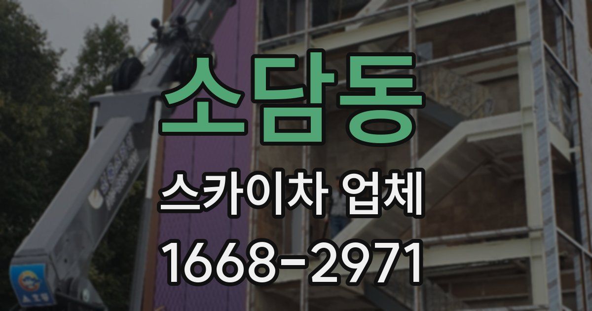소담동 스카이차 업체