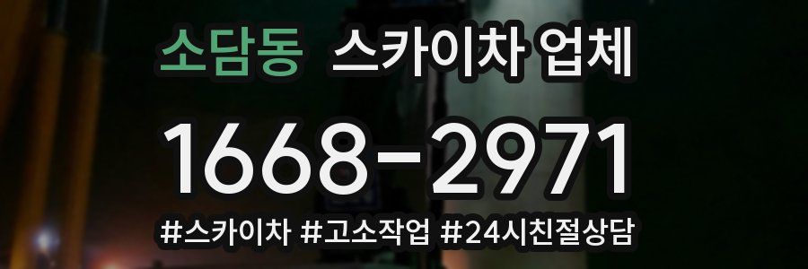 소담동 스카이차 업체