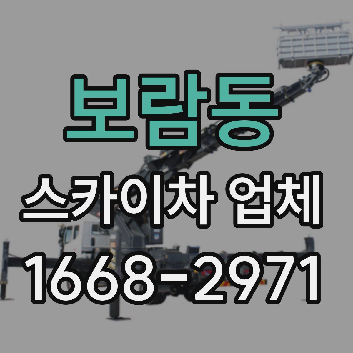 보람동 스카이차 업체
