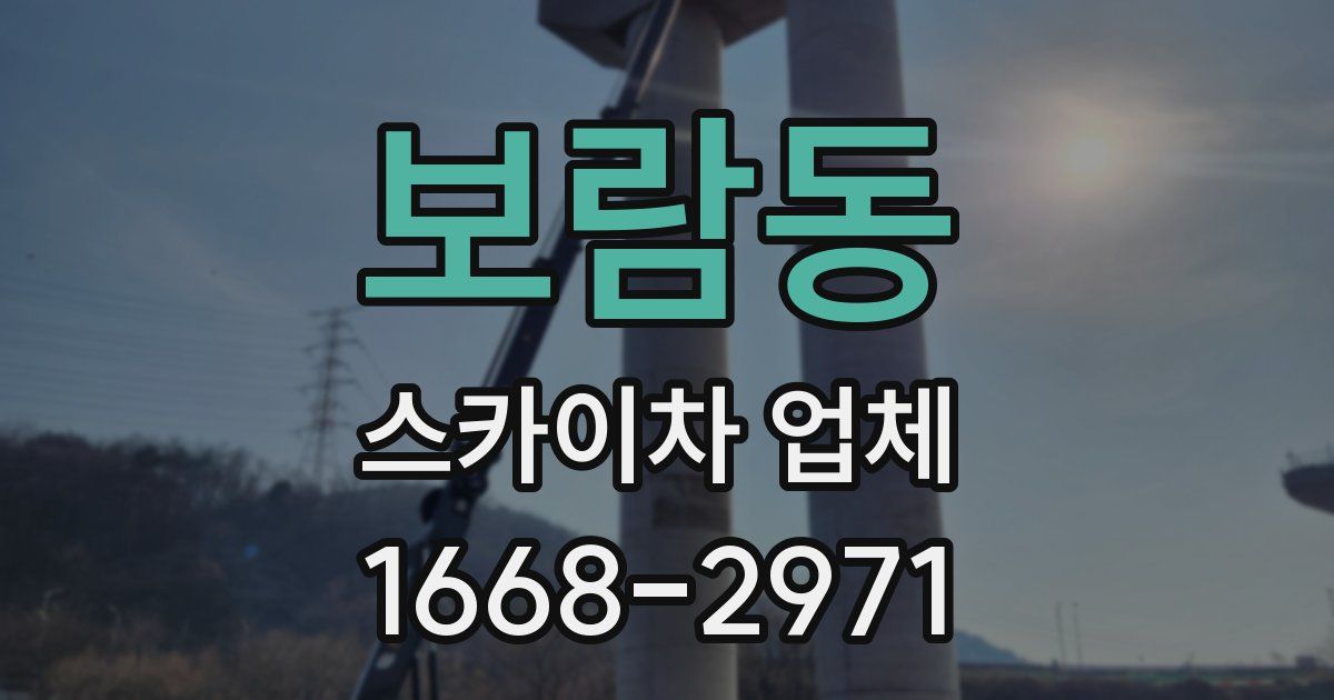 보람동 스카이차 업체