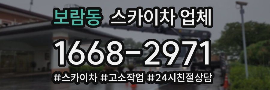 보람동 스카이차 업체