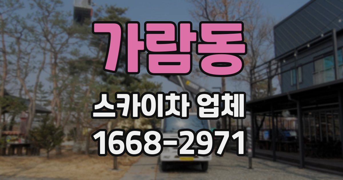 가람동 스카이차 업체