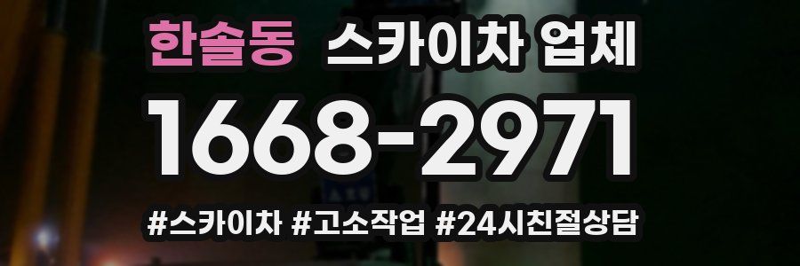 한솔동 스카이차 업체