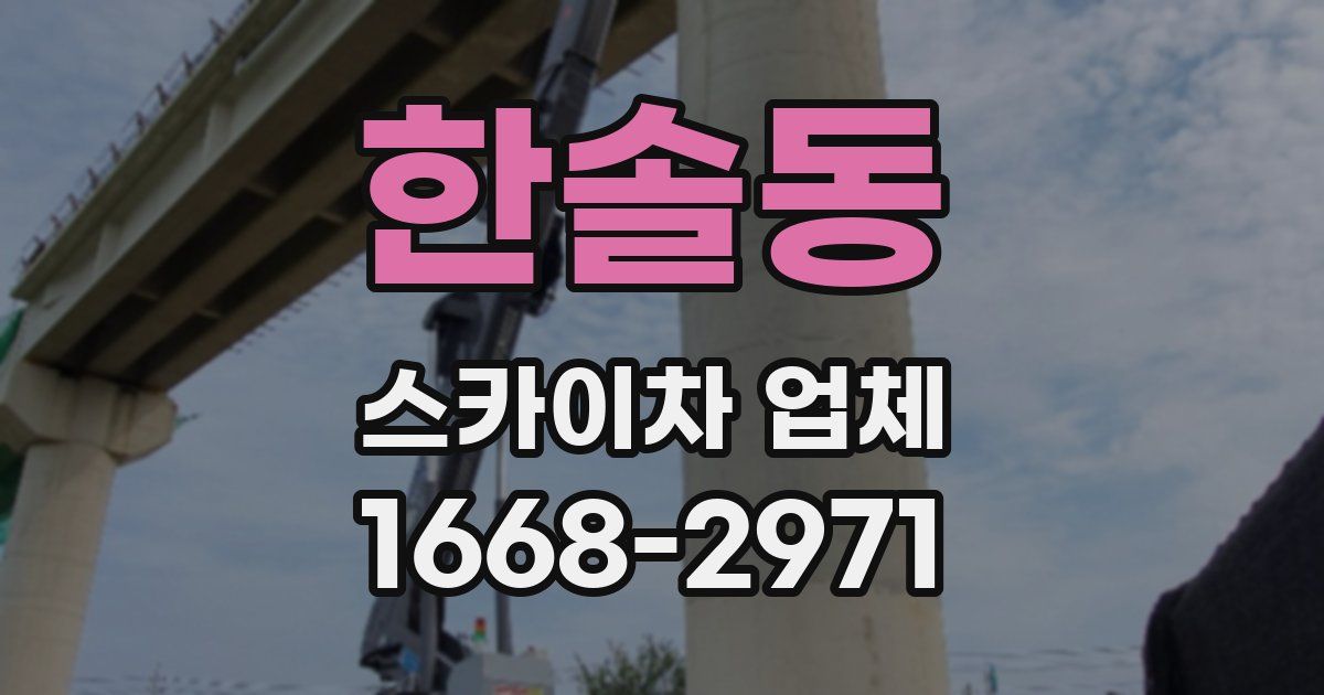 한솔동 스카이차 업체