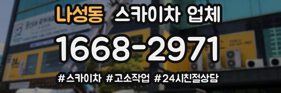 나성동 스카이차 업체