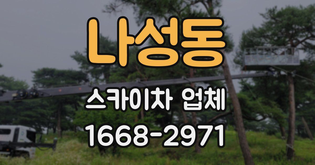 나성동 스카이차 업체