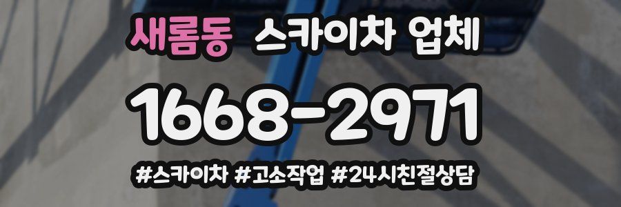 새롬동 스카이차 업체