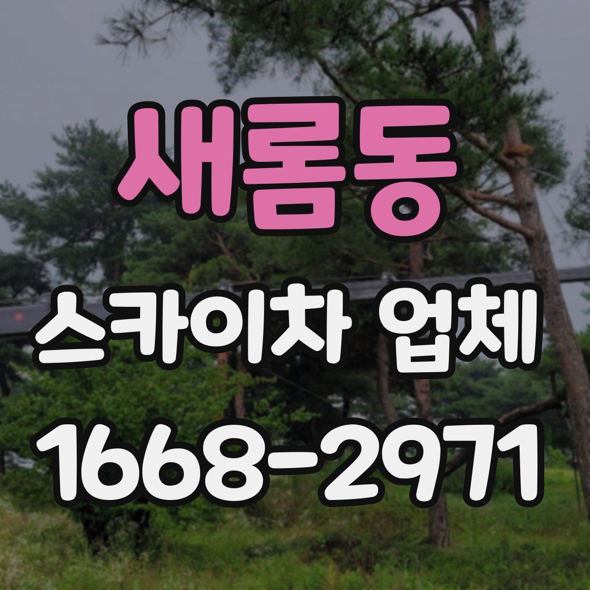새롬동 스카이차 업체