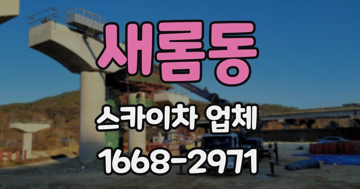 새롬동 스카이차 업체