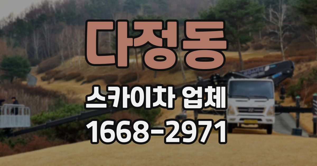 다정동 스카이차 업체