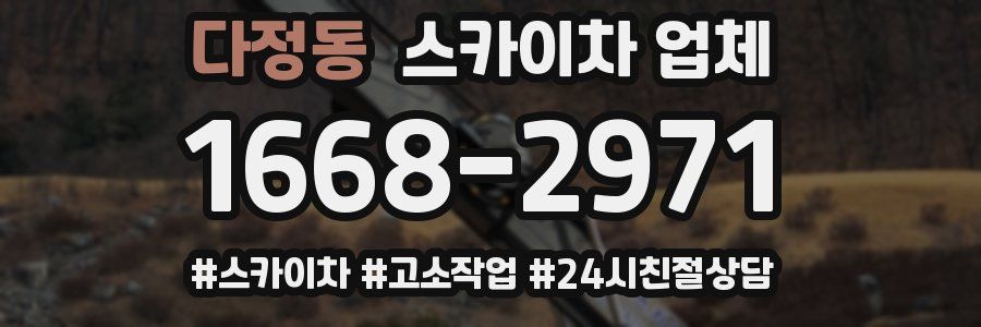 다정동 스카이차 업체