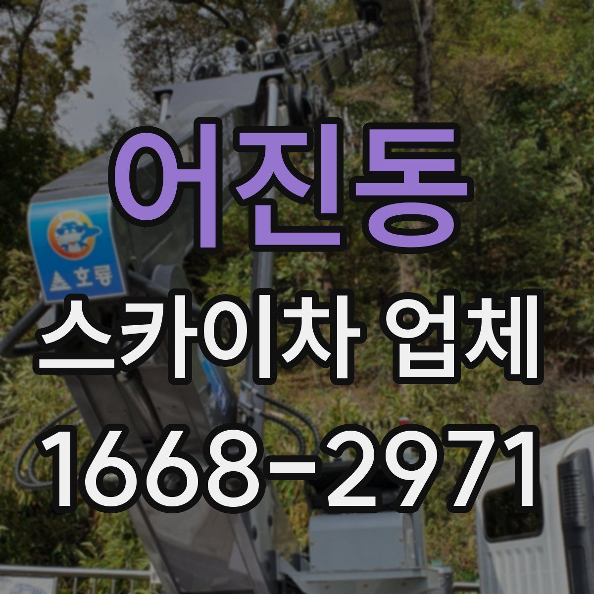 어진동 스카이차 업체