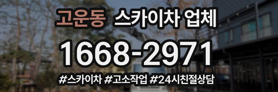 고운동 스카이차 업체