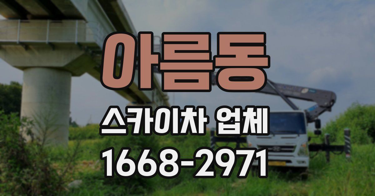 아름동 스카이차 업체