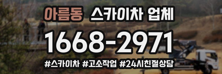 아름동 스카이차 업체