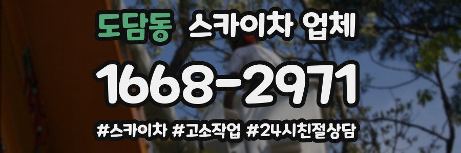 도담동 스카이차 업체