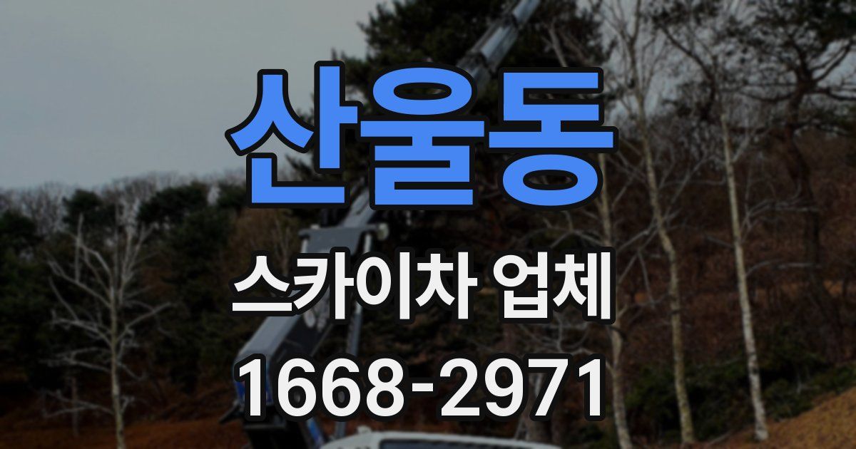 산울동 스카이차 업체