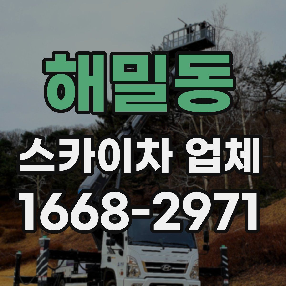 해밀동 스카이차 업체