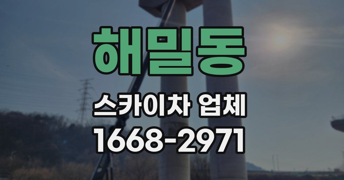 해밀동 스카이차 업체