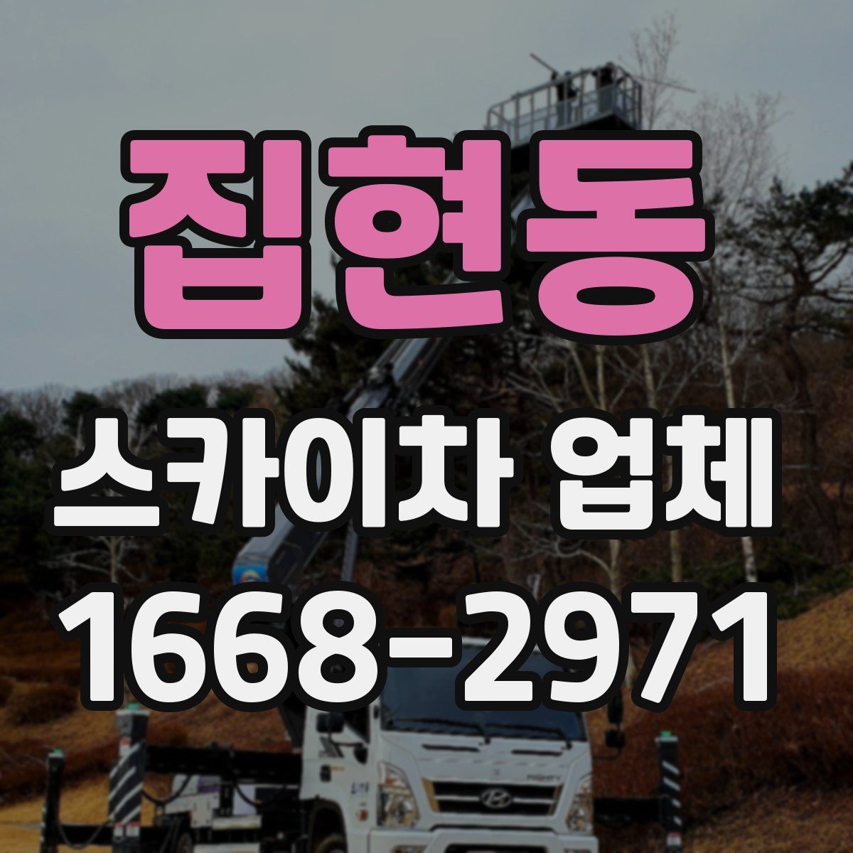 집현동 스카이차 업체