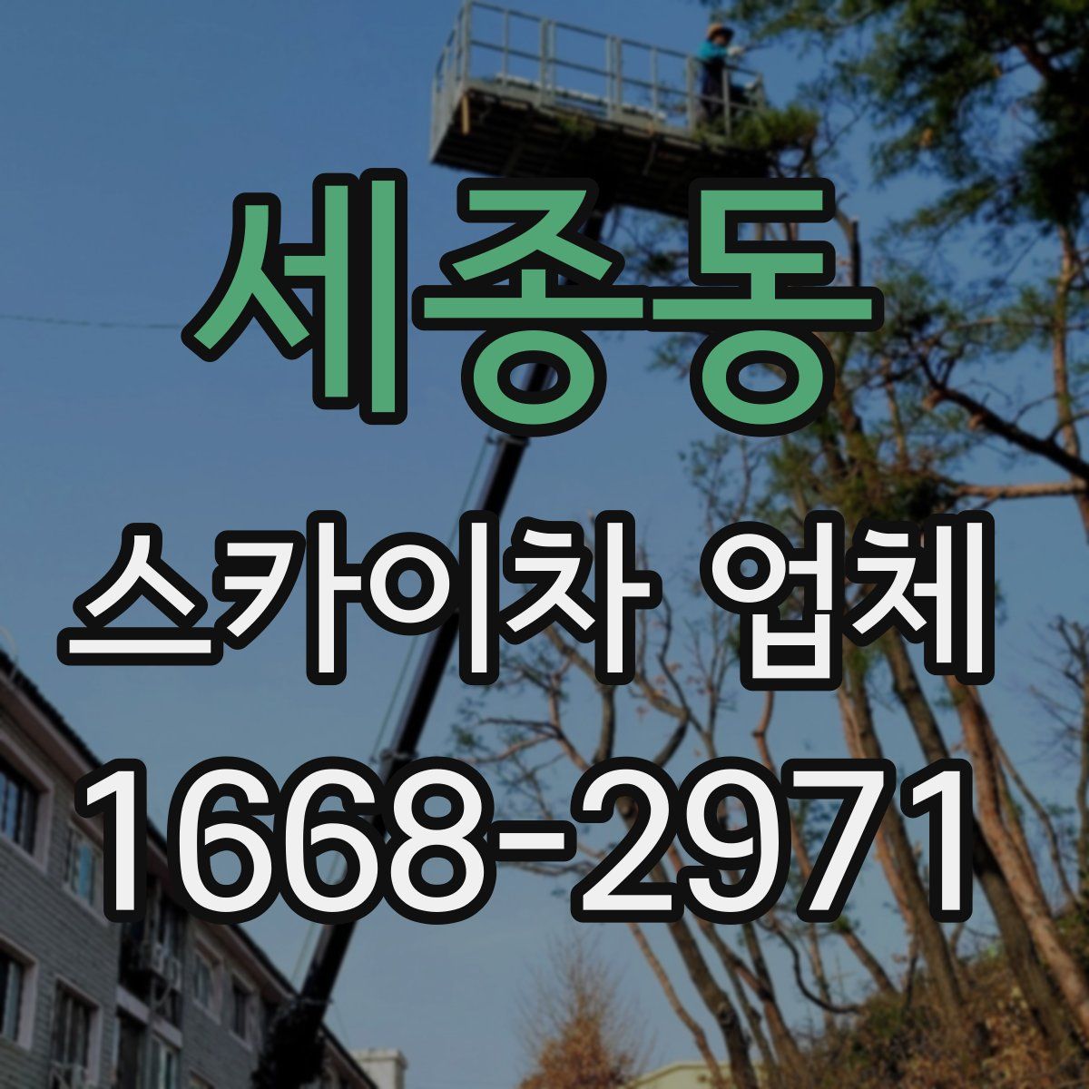 세종동 스카이차 업체